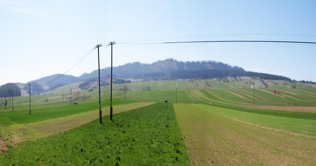 Pensjonat Tajemniczy Ogród Frydman Exterior foto